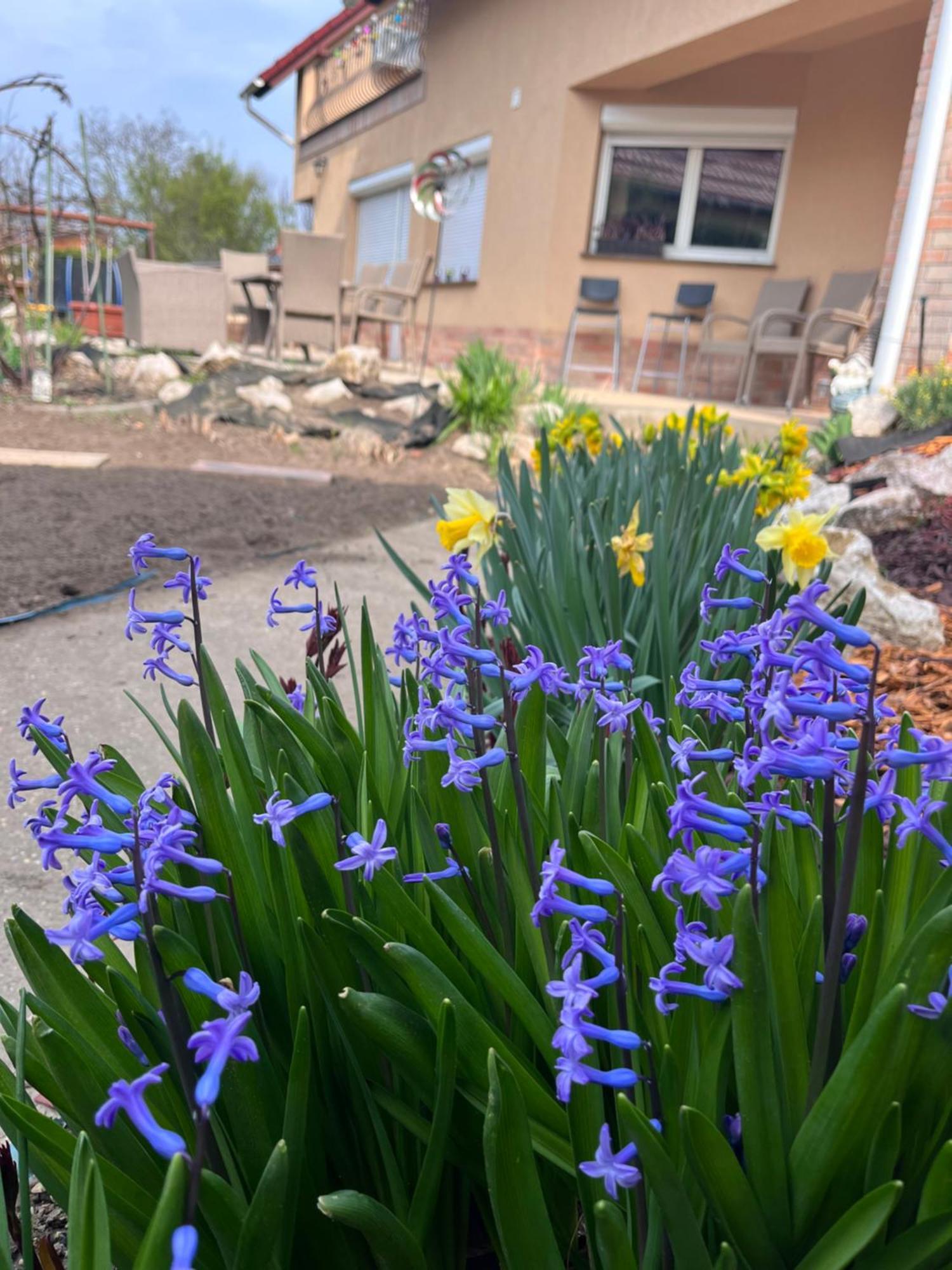Garden Villa Budapeşte Dış mekan fotoğraf