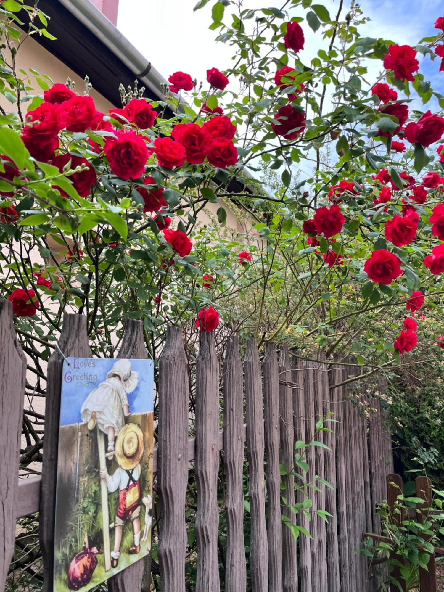 Garden Villa Budapeşte Dış mekan fotoğraf
